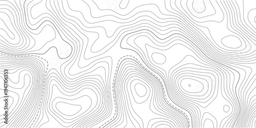 Beautiful Light topographic topo contour map background. Presentation background design.paper texture Imitation of a geographical map shades.