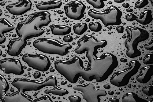 Фотография Surface Tension