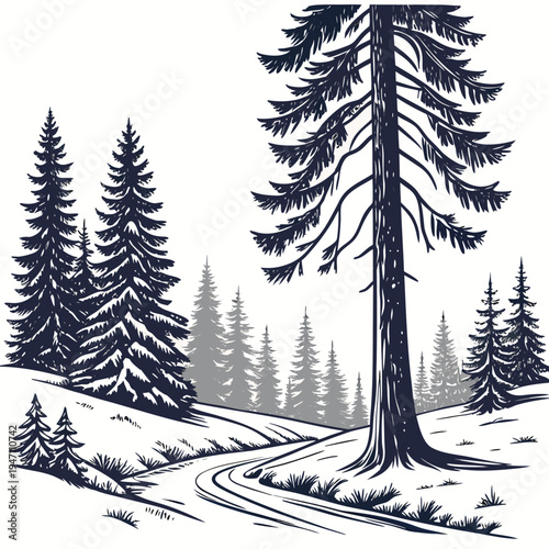 A snowy forest with evergreen trees and a pathway