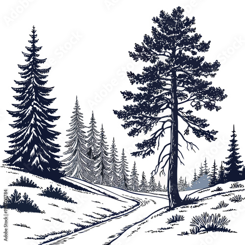 A snowy forest with pine trees on a hillside