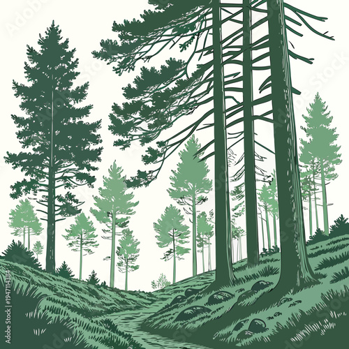 A forest with several trees on a hillside