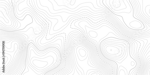 Beautiful Light topographic topo contour map background. Presentation background design.paper texture Imitation of a geographical map shades.