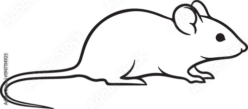 "Mouse line drawing vector illustration symbolizing animal biology and wildlife"