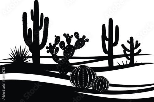 Desert landscape with various cacti and succulents silhouettes on transparent  background  dry terrain