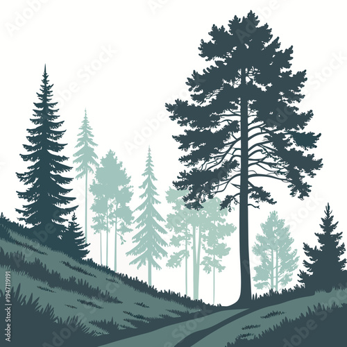 A group of pine trees on a hillside