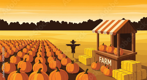 Autumn Pumpkin Farm with Scarecrow Hay Bales and Roadside Stand Vector Illustration