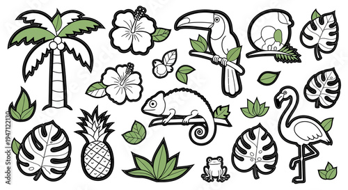 Collection of outline tropical animals and plants, including toucan, chameleon, flamingo, palm tree, pineapple, hibiscus, and monstera leaves, on an isolated white background.