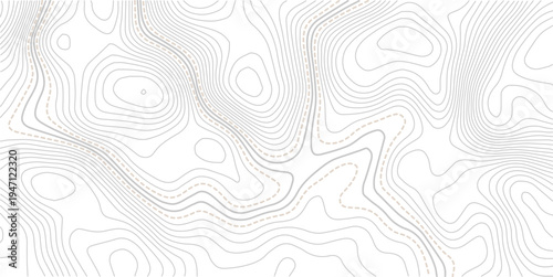 The stylized height of the topographic contour in lines and contours. Abstract geometric space. Topo line technology. Landscape, mesh map texture.
