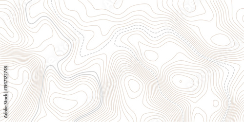 The stylized height of the topographic contour in lines and contours. Abstract geometric space. Topo line technology. Landscape, mesh map texture.
