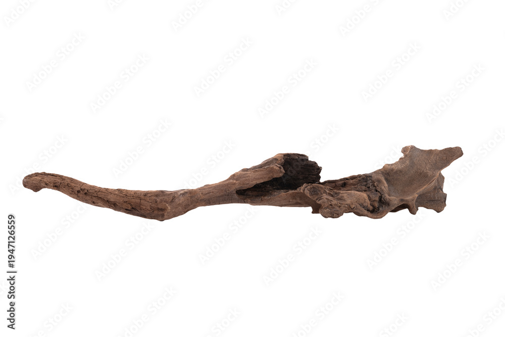 Fototapeta premium Beautiful dried logs for garden decoration.