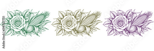 Set of Rose and Corn Cob Illustrations in Hand Drawn Vintage Style