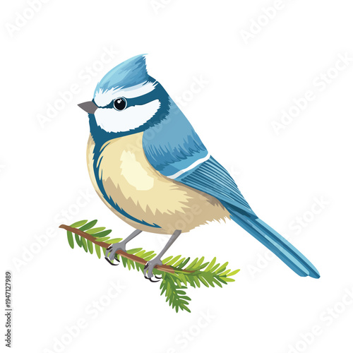 Cartoon bird illustration blue tit perched on green branch isolated design