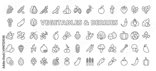 Vegetables and berries icons in line design. vegetables and berries, carrot, tomato, cucumber, strawberry, blueberry, raspberry on white background vector. Vegetables and berries editable stroke icons