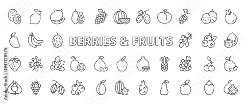 Berries and fruits icons in line design. berries, fruits, strawberry, blueberry, raspberry, cherry, grape on white background vector. Berries and fruits editable stroke icons