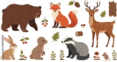Forest woodland animals collection with bear fox deer badger rabbit and mouse surrounded by leaves mushrooms and branches cute nature vector illustration set
