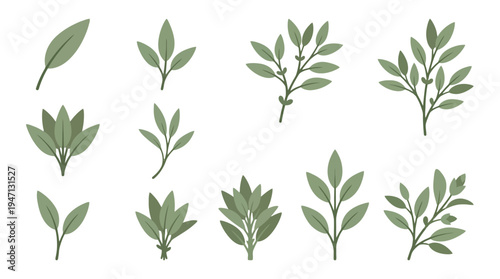 Diverse set of stylized green leaves and branches flat vector illustrations featuring organic shapes and muted sage tones.