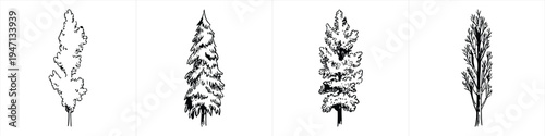 set of four deciduous tree sketches in a minimalist black and white line art style design vector illustration artwork
