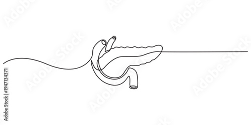 continuous one line drawing Pancreas vector illustration. line art, one continuous line, simple, hand drawn and sketch style. for icons, symbols, signs or logos. pancreas one line drawing,