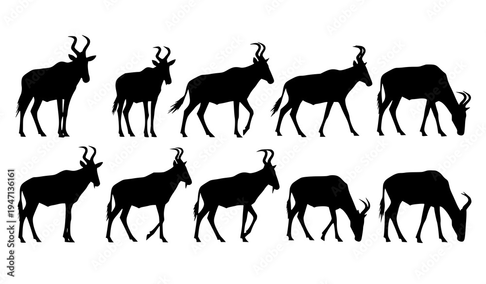 Fototapeta premium Hartebeest antelope silhouettes set African wildlife animal vector collection isolated on white