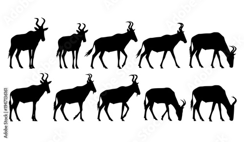 Hartebeest antelope silhouettes set African wildlife animal vector collection isolated on white