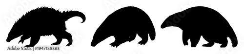 Pangolin set with solid black silhouette in defensive walking stance featuring rare pangolin, endangered wildlife, conservation icon with white background and black outline