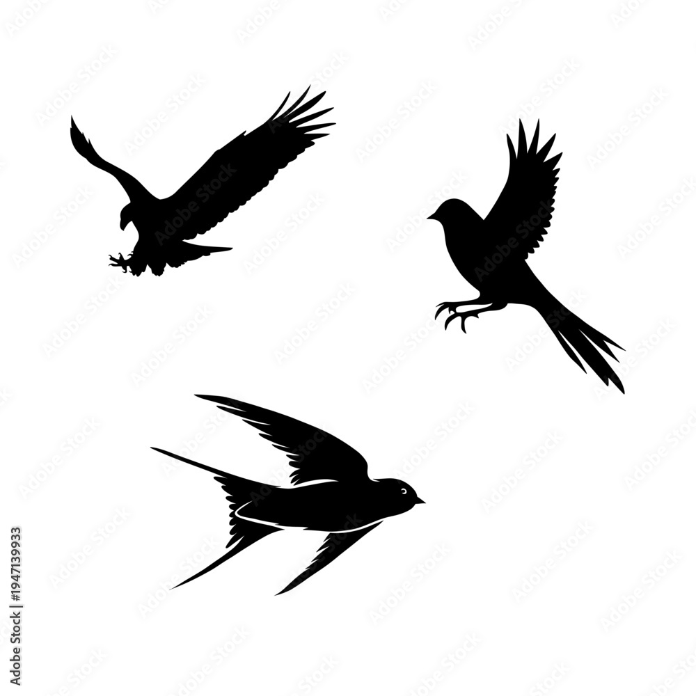 Fototapeta premium Flying Bird Silhouette Icon Collection with Dynamic Wing Shapes
