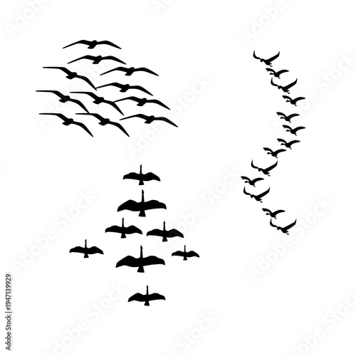 Bird Flock Silhouette Collection Forming Flying Migration Patterns