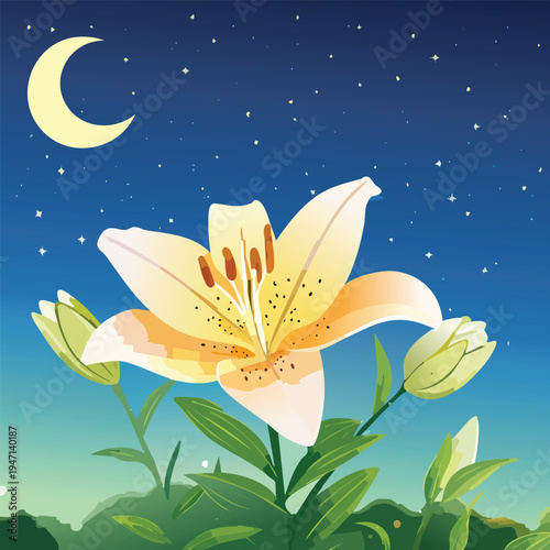 Nighttime floral illustration blooming lily with crescent moon and starry sky