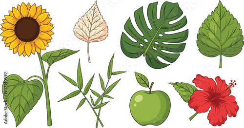 Illustration Set of Sunflower, Hibiscus, Green Apple, Bamboo, and Tropical Leaves for Botanical, Nature, and Fresh Design Projects