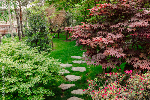 Photos Red Japanese maple or acer tree with stone pathway in tranquil zen garden landsc
