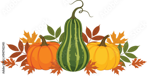 Autumn Pumpkin and Gourd Vector Illustration with Fall Leaves Composition for Thanksgiving Harvest Festival Decoration and Seasonal Design Projects