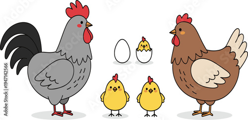 Chicken Family Vector Illustration Featuring Rooster, Hen, Eggs and Cute Chicks Farm Poultry Animals for Agriculture and Kids Design
