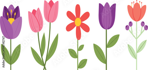 Colorful Spring Flower Vector Set Featuring Tulips and Floral Blossoms with Leaves for Botanical Garden, Nature and Decorative Design