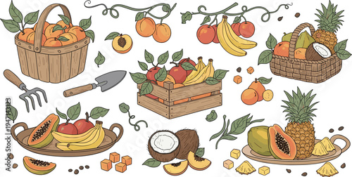 Hand Drawn Tropical Fruit Harvest Vector Set with Baskets, Pineapple, Banana, Papaya, Coconut and Gardening Tools Illustration