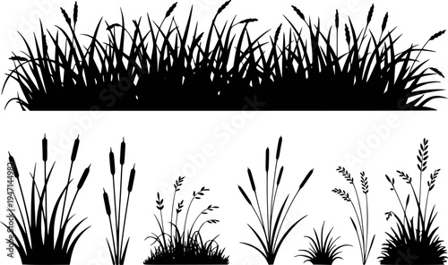 Black silhouettes of various wetland grasses and cattails against a white background