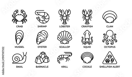 Outlined seafood icons set: crab, shrimp, lobster, shellfish, octopus