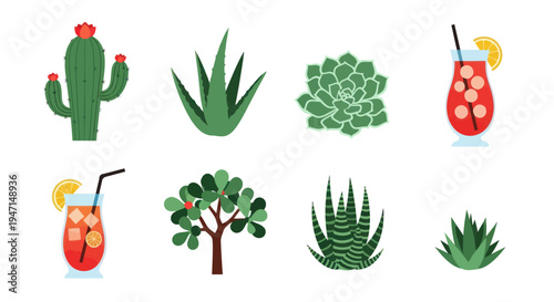 Cactus aloe plants and cocktails illustration