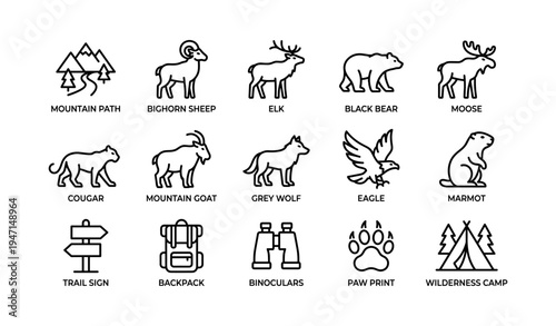 Line art icons of north american wildlife and outdoor camping gear