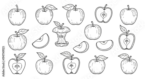 Hand Drawn Apple Set Collection Sketch
