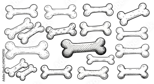 Hand Drawn Dog Bone Treats Illustration Set