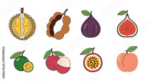 Cartoon fruits illustration set on white