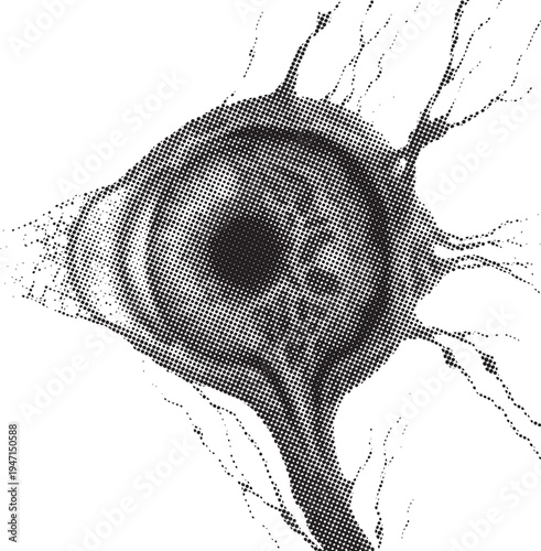 Halftone human eye illustration with detailed dotted shading texture. Anatomical depiction of the eye structure created using classic stipple dot technique. Monochrome medical graphic representing vis