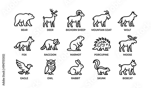 Illustrated animal icons: bear, deer, sheep, goat, wolf, fox, raccoon, marmot, porcupine, moose