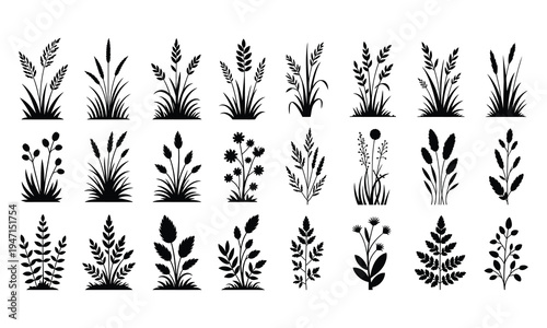 Black Botanical Grass and Wildflower Silhouette Set for Nature and Floral Graphic Design