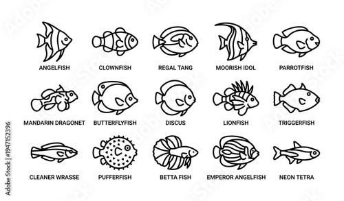 Outline illustrations of various tropical fish species