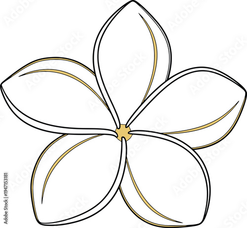 Stylized White Plumeria Flower Blossom Vector Art Illustration with Golden Center
