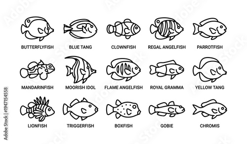 Vector set of diverse tropical fish icons including butterflyfish and clownfish