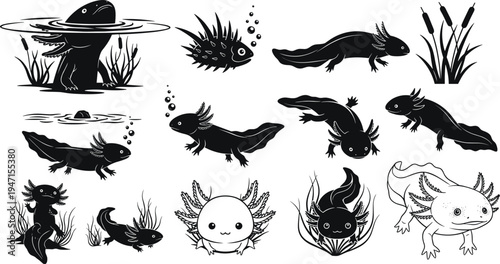 Axolotl amphibian silhouette set, cute aquatic salamander underwater animal wildlife vector illustration collection