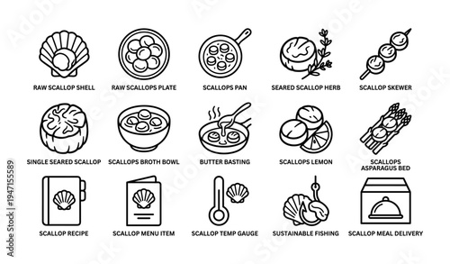 Scallop cooking utensils and meal preparation icons in black line art