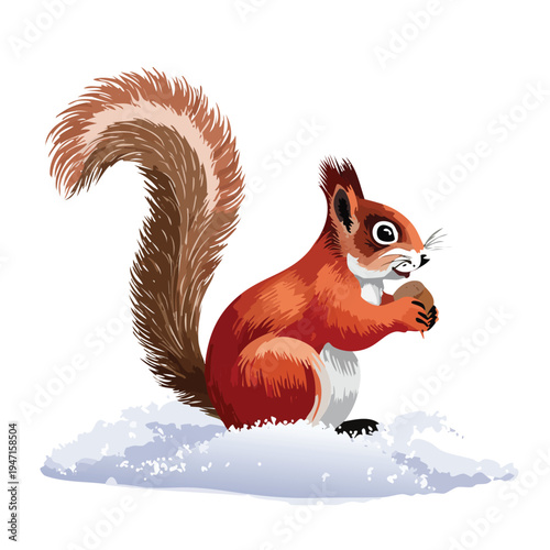 Cartoon red squirrel with nut sitting on snow against white background